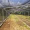 Inside of on the new green houses at the Lilongwe Botanic Gardens
