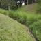 One of the rivers that has been revitalised at the Mzuzu Botanic Gardens