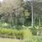 Part of the scenary at the Mzuzu Botanic Gardens
