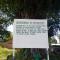 The Livingstone Tree as a Tourist Attraction Reform in Nkhotakota